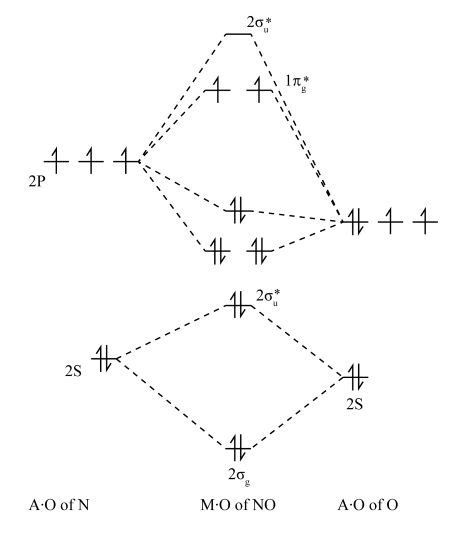molecular orbital diagram of no|7.3: How to Build Molecular Orbitals .